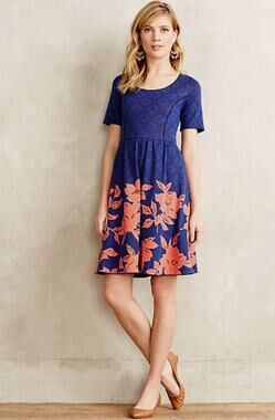 Anthropologie HD Paris Women S Blushed Blooms Blue Pink Floral Mini summer Dress